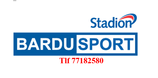 Sponsor logo #2